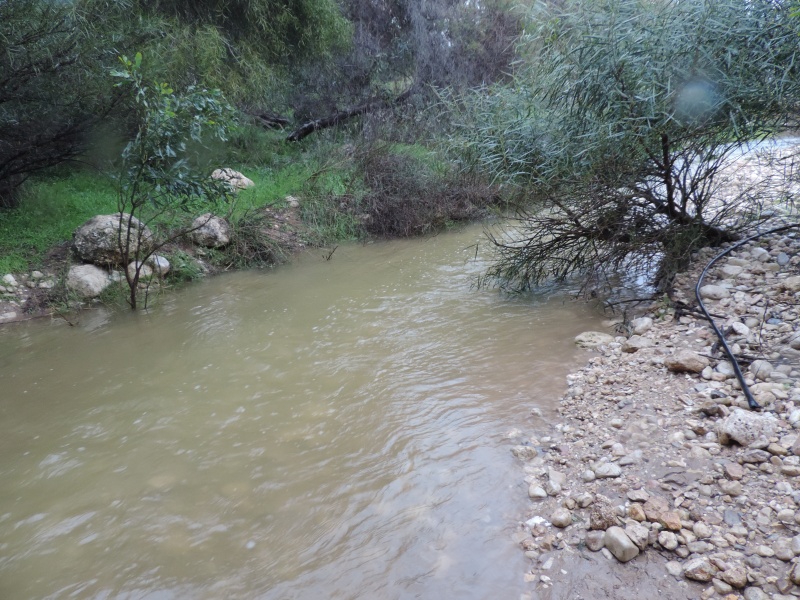 קובץ:ZIDKI BD 2013 105.jpg