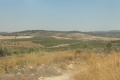 תמונה ממוזערת לגרסה מתאריך 16:26, 30 באוגוסט 2015