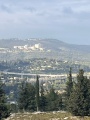 תמונה ממוזערת לגרסה מתאריך 14:56, 8 במאי 2026